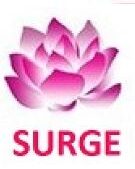 Surge Software Solutions